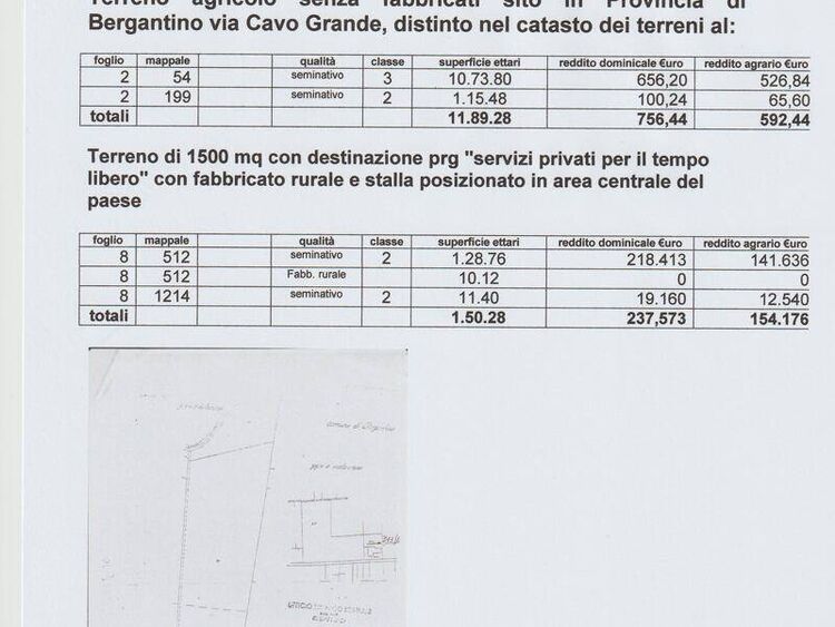 foto 3 del terreno